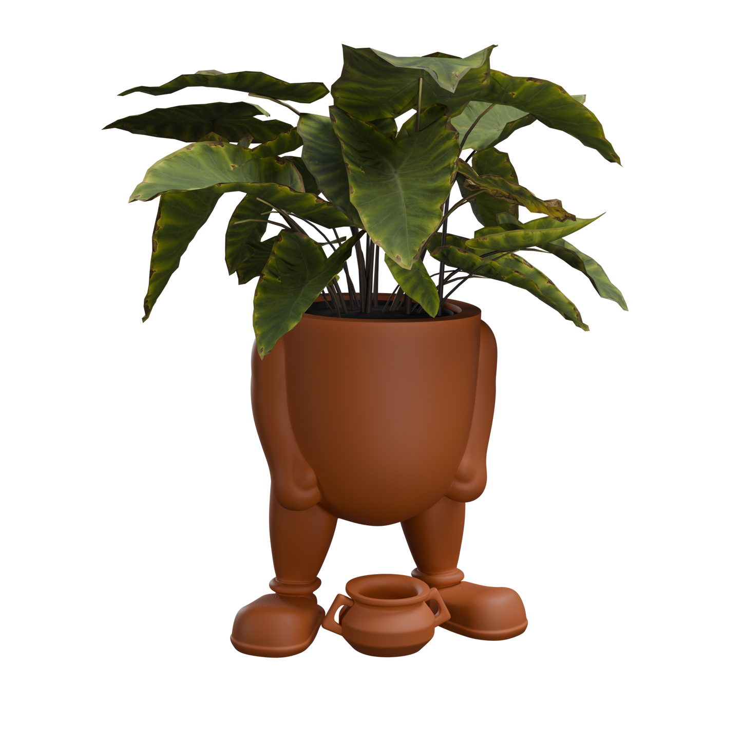 TERRACOTTA