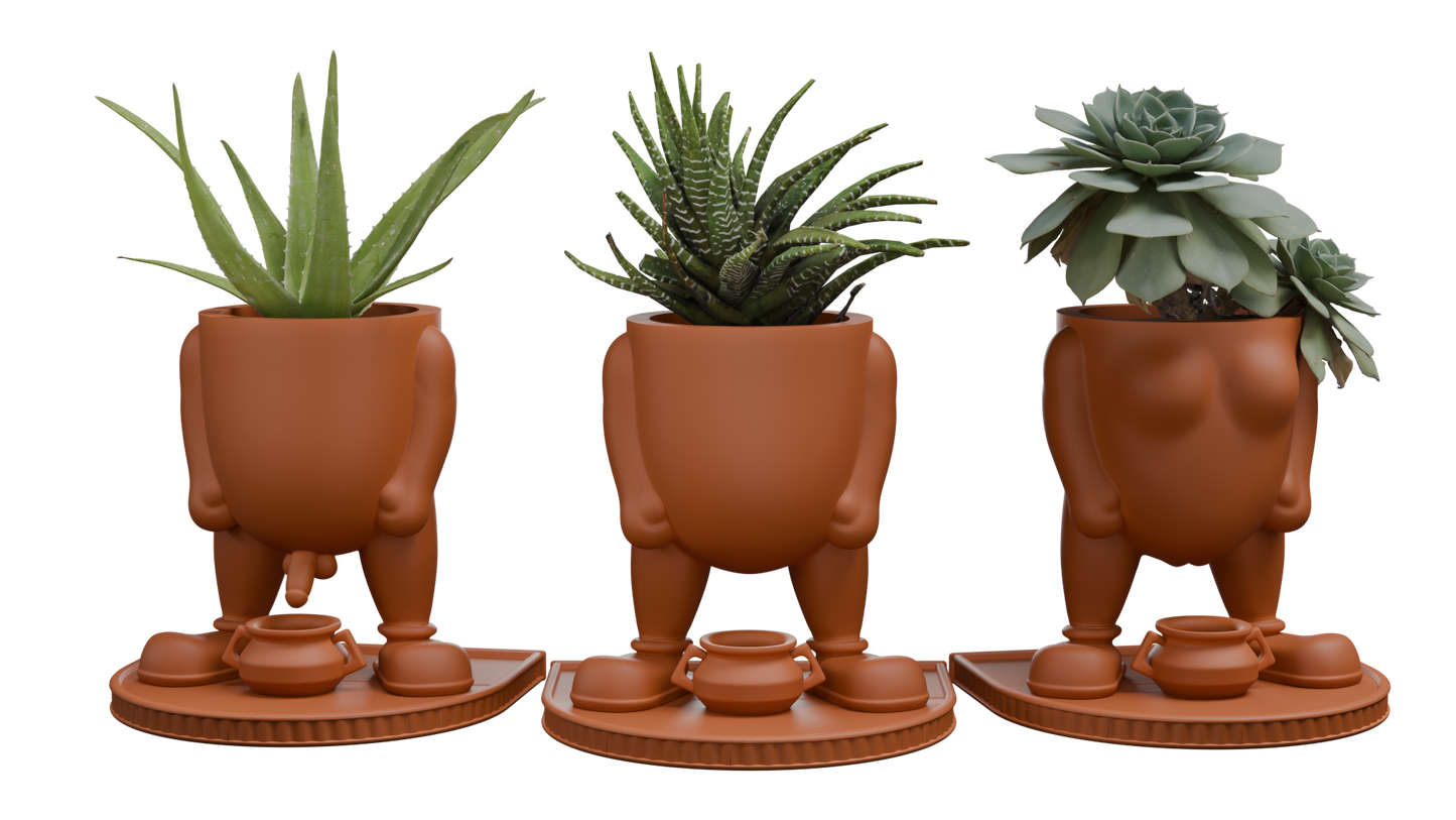 TERRACOTTA